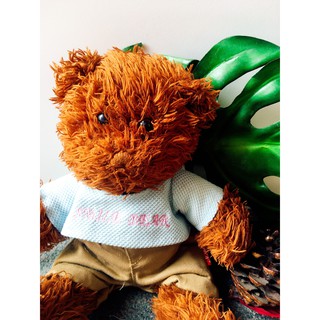 Gấu bông Teddy áo xanh dễ thương