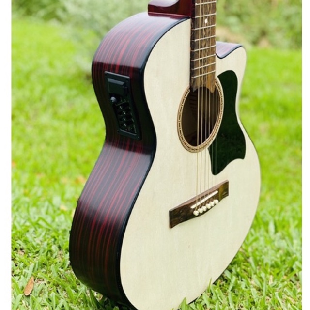Đàn Guitar Acoustic Có Lắp EQ 7545