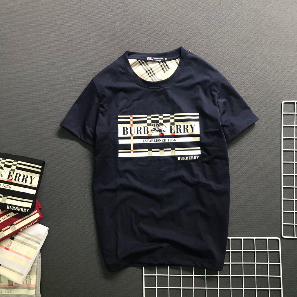 Áo thun nam cổ tròn áo phông vải cotton co giãn dày dặn nhiều màu - Bury tròn