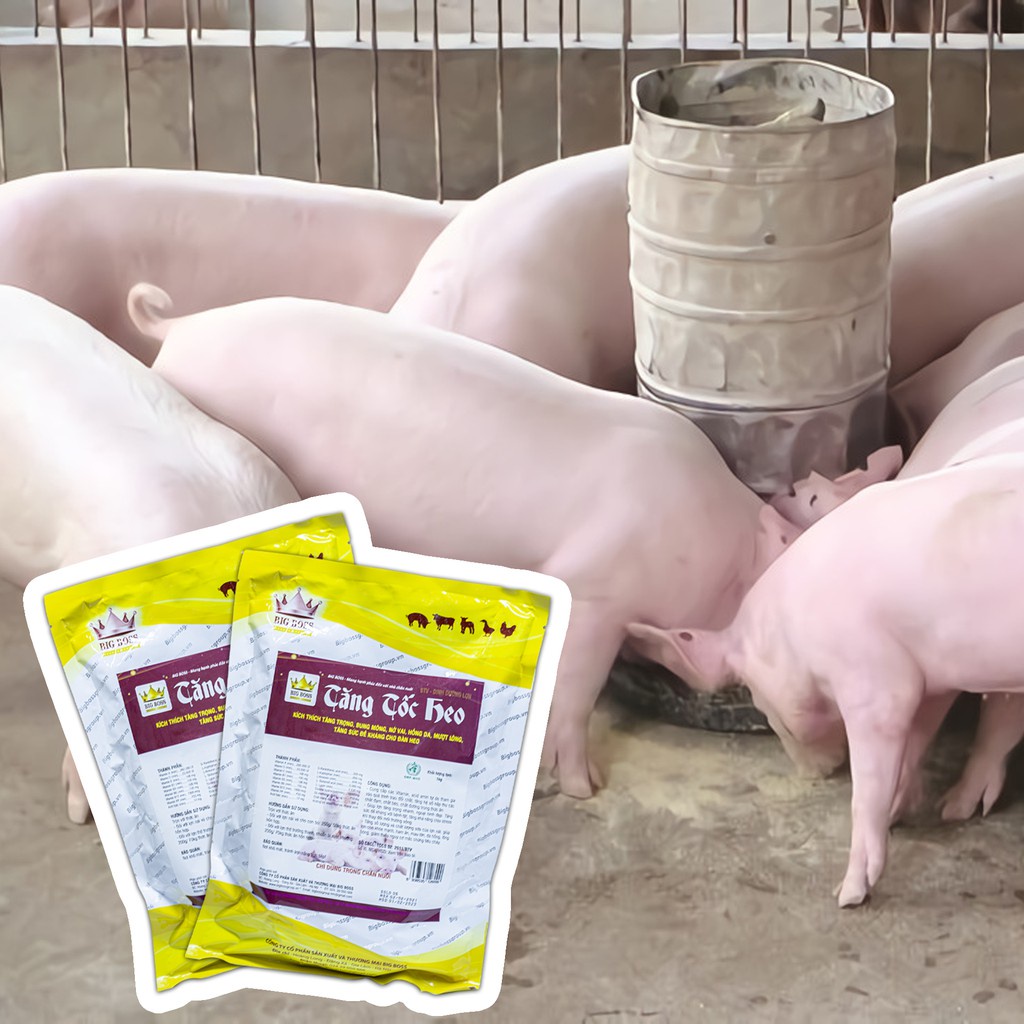 Tăng Tốc Heo 1kg Kích thích tăng trọng, vỗ béo heo, vỗ béo lợn