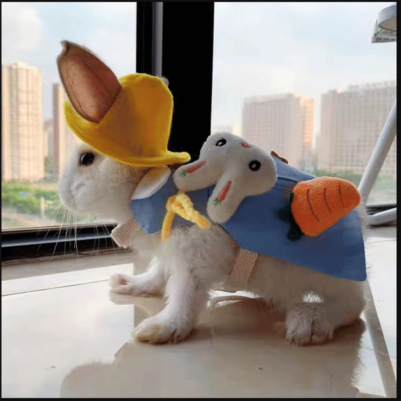 Bộ Trang Phục Thỏ Lop-eared Dễ Thương Dành Cho Thú Cưng