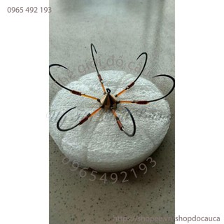 Lưỡi câu lục ( rẻ vô địch )