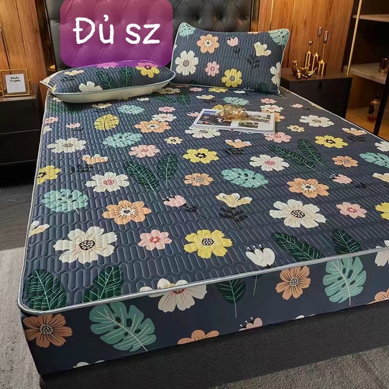 Chiếu điều hoà mủ cao su non bo chun bọc đệm vải lụa mát cao cấp