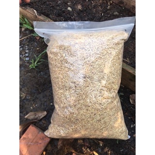 vỏ trấu sống tạo xốp đất cho cây 500gr