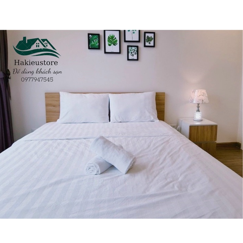 Combo 10 bộ drap trắng sọc 1m6x2m (nệm 5_17cm )