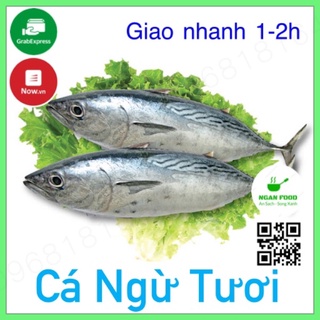Cá ngừ tươi khánh hoà, thơm ngon, sạch sơ chế sẵn giao nhanh 1-2h