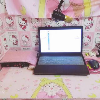 Giấy Dán Tường Kitty Ô Vuông Phong Cách Hàn Quốc