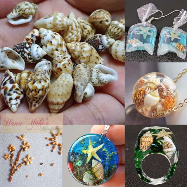 Set 20/30/150 vỏ Ốc mini dùng trong Resin, nến handmade, trang trí, thiệp, tranh 3D..v...v..