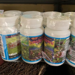 Thuốc trị thối nhũn thái lan Captan