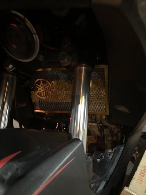 Che két nước lưới exciter 150