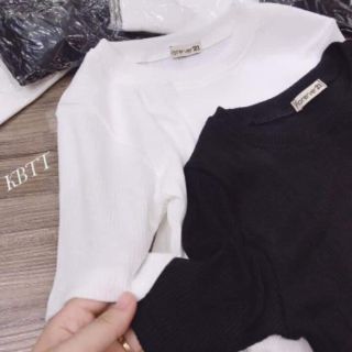 Crop cộc tayk