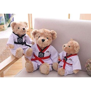 Gấu Teddy Taekwondo siêu cute