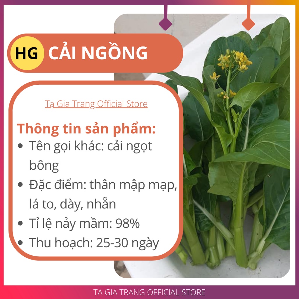 [Bán sỉ] - Hạt giống rau cải ngồng (cải ngọt bông)