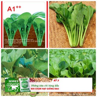 Gói 100 hạt giống cải ngọt
