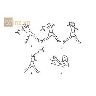 Boomerang chữ V V.2 Asam