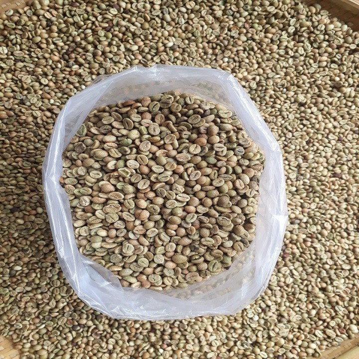 Túi 5 kg cà phê nhân sống chưa rang Robusta- cà phê vối Tây Nguyên-Hạt làm sạch, phơi sấy khô.