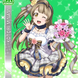 Cosplay Kotori Minami