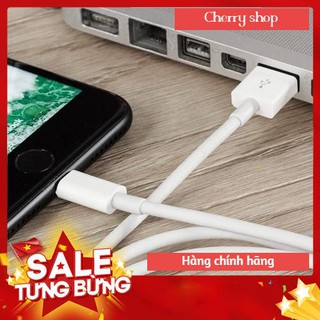 Cáp Sạc iPhone Lightning 2 mét Chính Hãng Hàng chính hãng