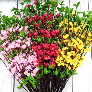 Cành hoa đào, mai