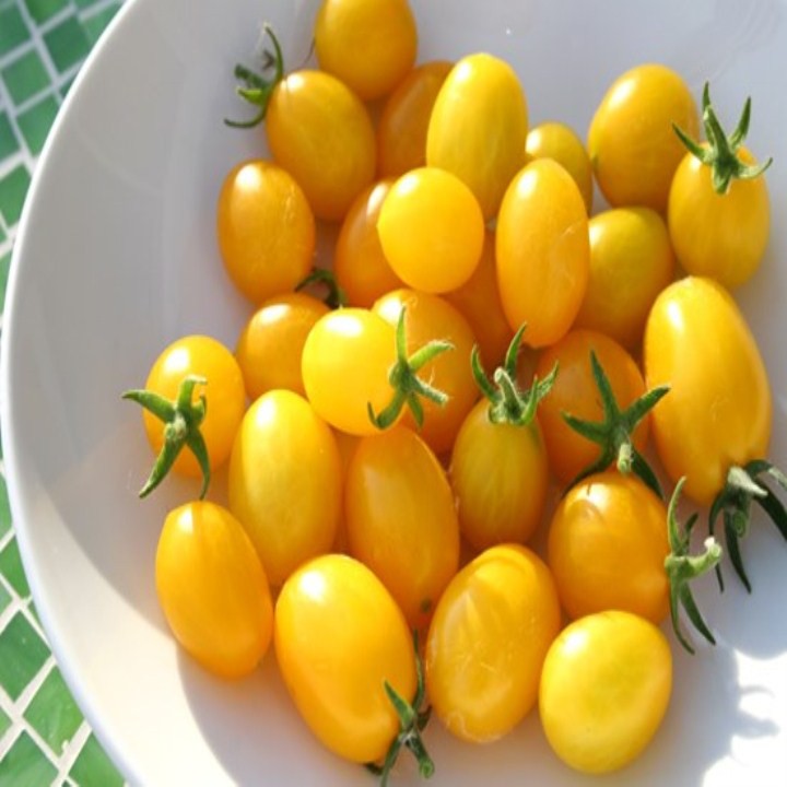 Hạt giống cà chua bi vàng 50 hạt