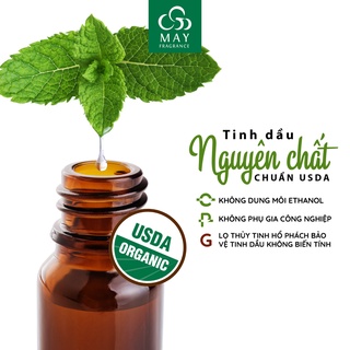 Tinh dầu Hoa hồng thiên nhiên thơm phòng May Fragrance | Kiểm nghiệm GC - MS
