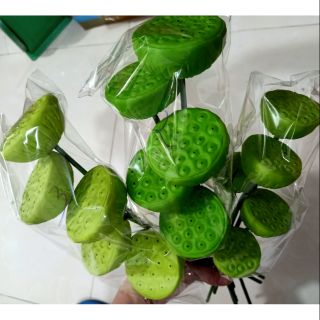 GƯƠNG SEN XANH ĐẤT SÉT