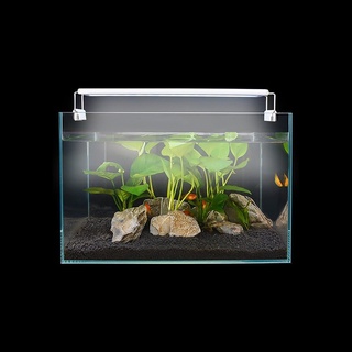 Đèn led 80cm ánh sáng trắng/màu cho bể cá thủy sinh