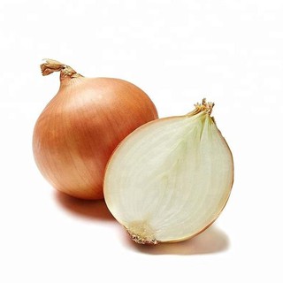 Hạt Giống Hành Tây Củ 2gr Giống Mới Củ To Chịu Hạn Chính Hãng Chất Lượng Cao