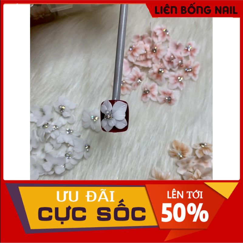 Hoa bột nail chân