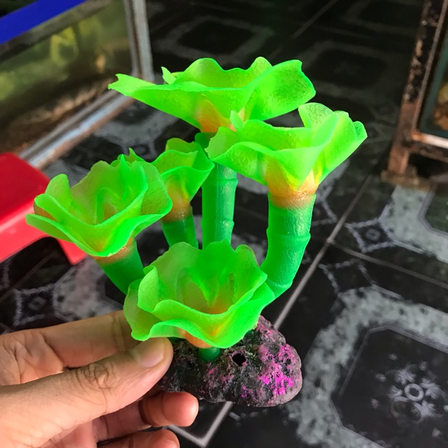 RONG DẠ QUANG TRANG TRÍ HỒ CÁ NON BỘ CAO 15CM