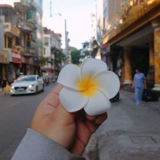 Kẹp hoa sứ hot girl