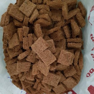 3.5dm Xơ dừa cắt miếng trồng lan