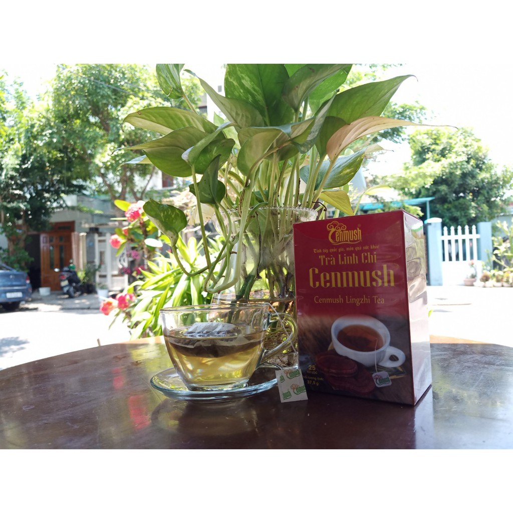 TRÀ NẤM LINH CHI TÚI LỌC NẤM LINH CHI ĐỎ CENMUSH - NẤM CÔNG NGHỆ CAO MIỀN TRUNG CENMUSH