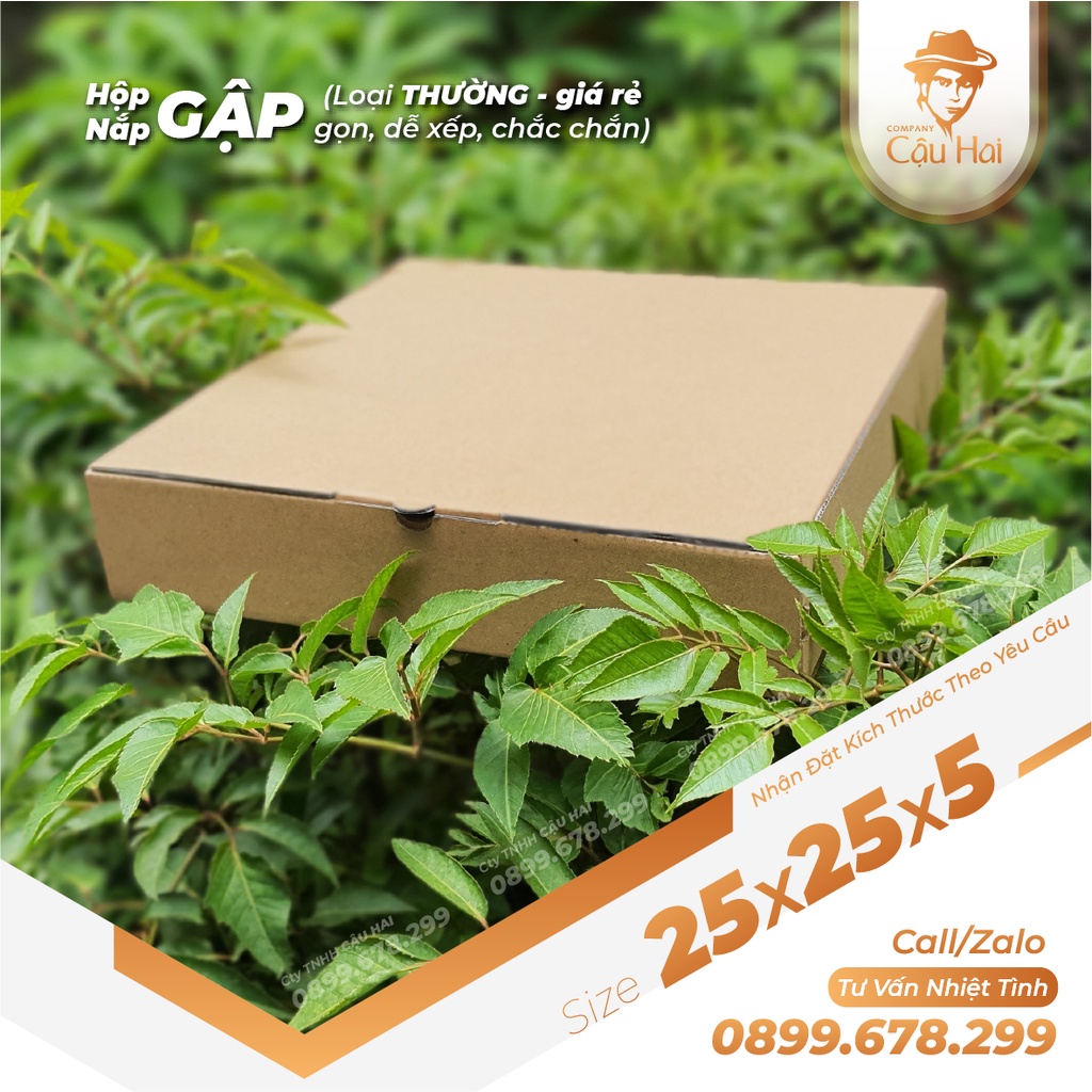Set 50 Hộp carton nắp GẬP 25x25x5