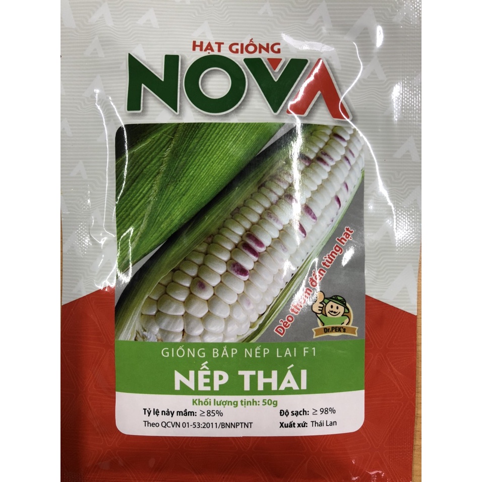 Hạt Giống NGÔ NẾP LAI F1 – NẾP THÁI hạt tím xen hạt trắng rất dẻo và thơm