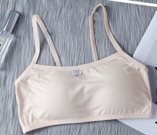 Combo 5 áo lá học sinh