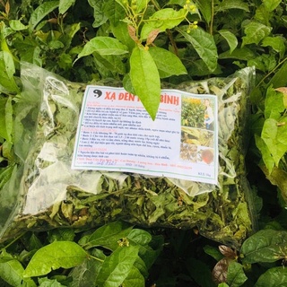 1kg Xạ đen Hoà Bình (cả thân và lá)