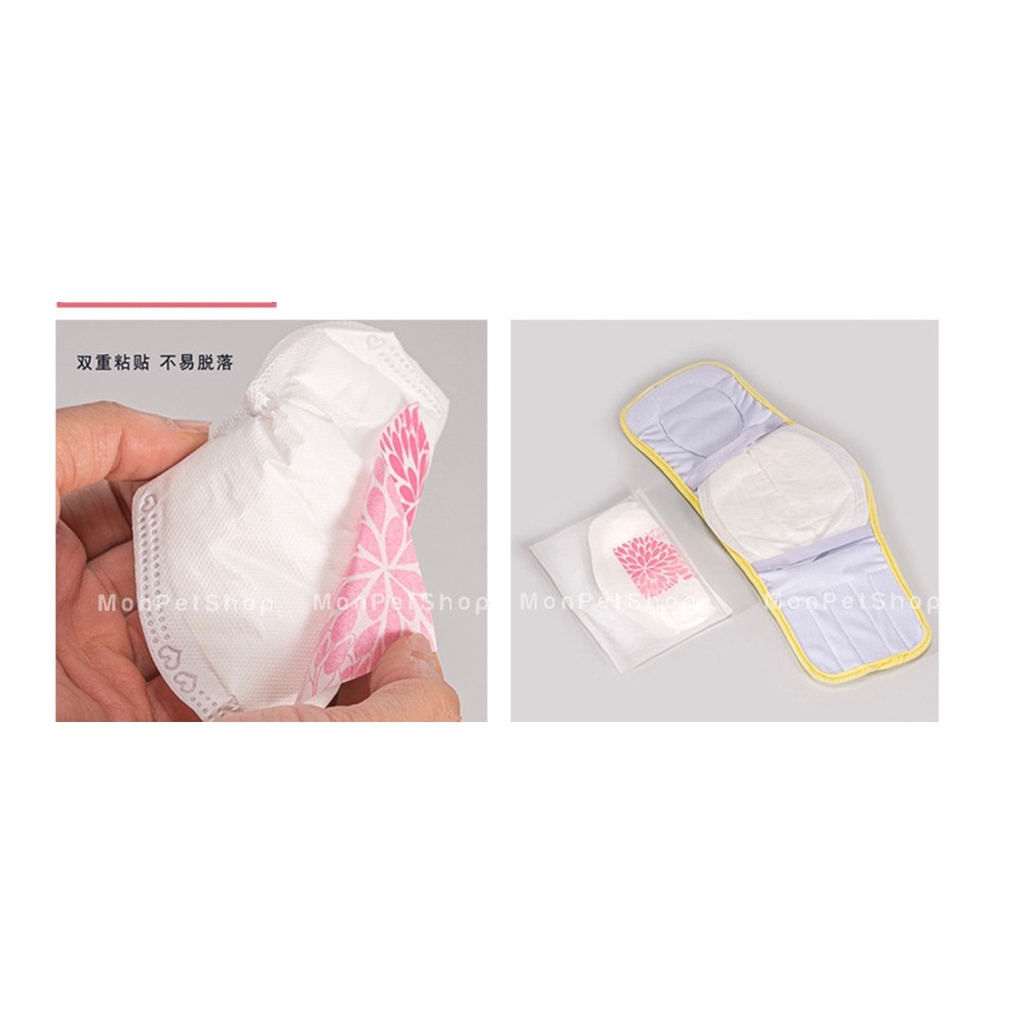 Tã vải quấn bỉm sinh lý cho cún đực chó đực