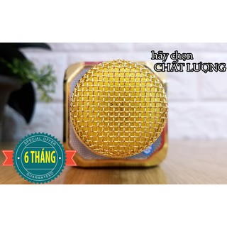 MICRO KARAOKE 3 IN 1 SHSD10