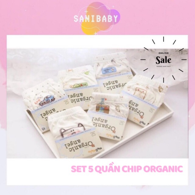 [GIÁ HỦY DIỆT] Set 5 Quần Chip Đùi ORGANIC Bé Gái