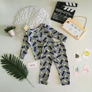 Combo 6 bộ Bozip xuất