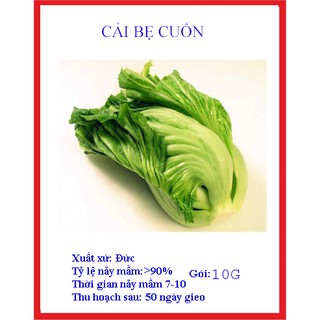 Gói 10gr hạt giống dưa cải cuốn