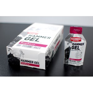 Gel Uống Bổ Sung Năng Lượng- Hammer Nutrion Vị Raspberry ( bộ 10 gói )