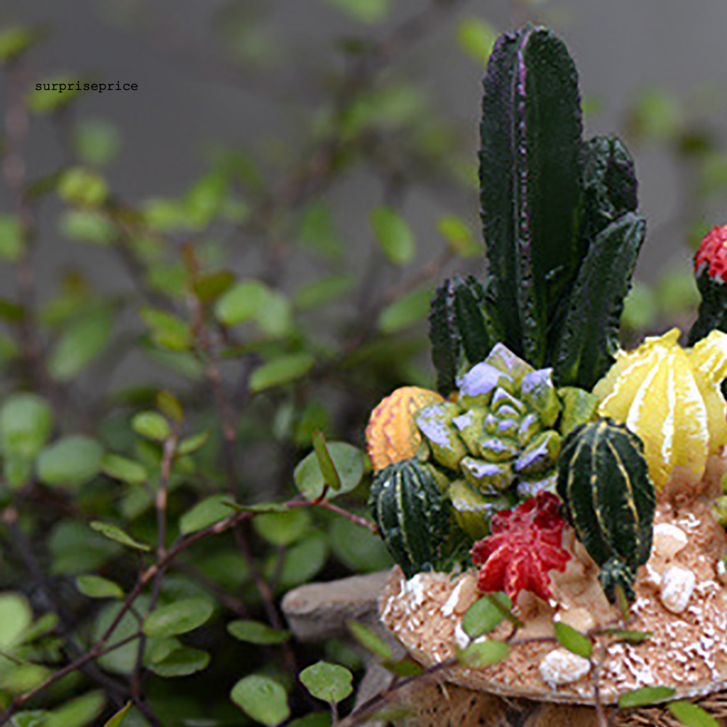 Cây Xương Rồng Giả Bằng Nhựa Resin Dùng Trang Trí Nhà Cửa