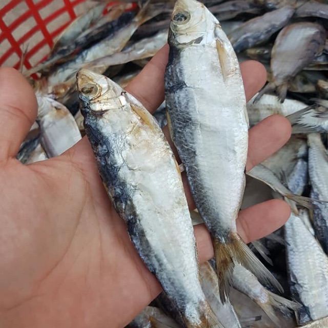500gr khô cá trích