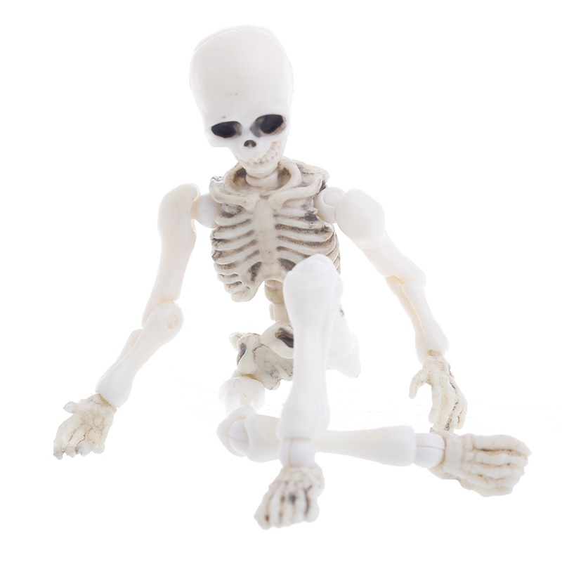 Mô Hình Bộ Xương Người Mini Toàn Thân Dùng Hóa Trang Halloween