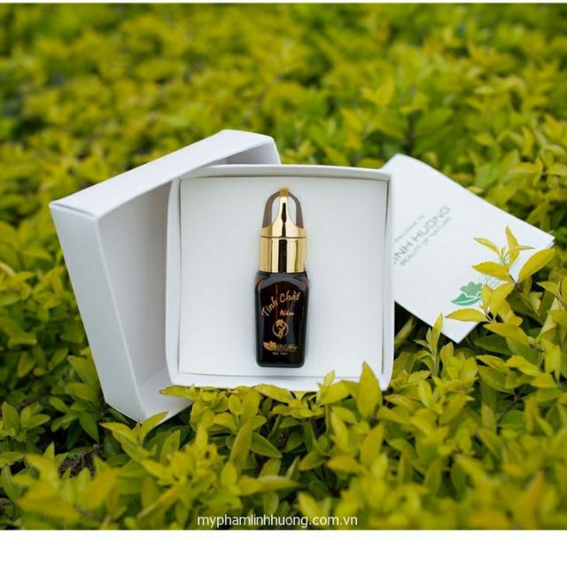 Tinh chất nám Linh Hương