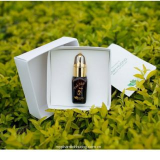 Tinh chất nám Linh Hương