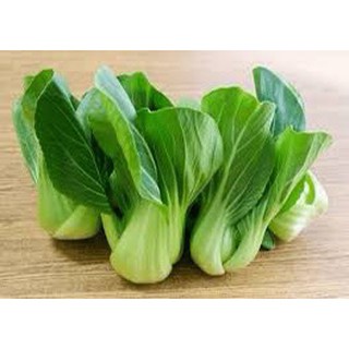Hạt giống cải thìa CDX 20g