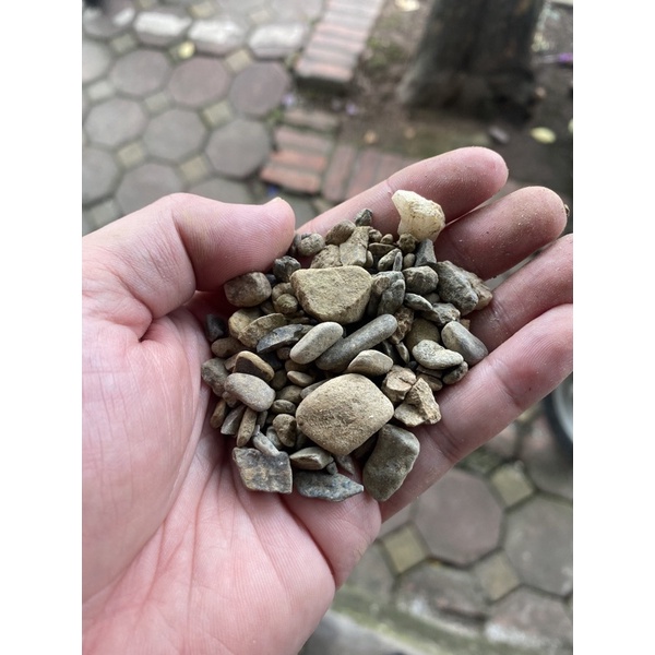 Sạn suối 500g trang trí bể cá